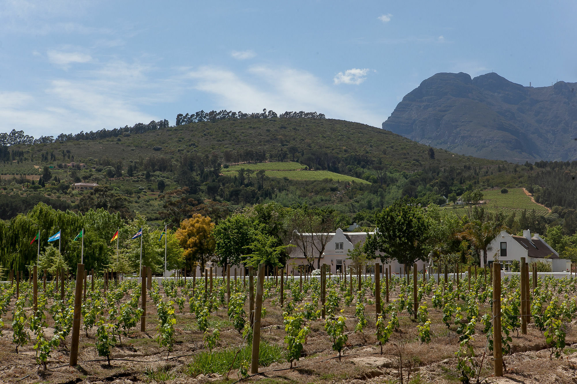 1692 De Kleijne Bos Country House Paarl Exterior foto